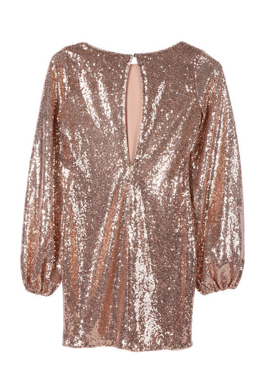 Puff Sleeve Crew Neck Sequin Mini Dress