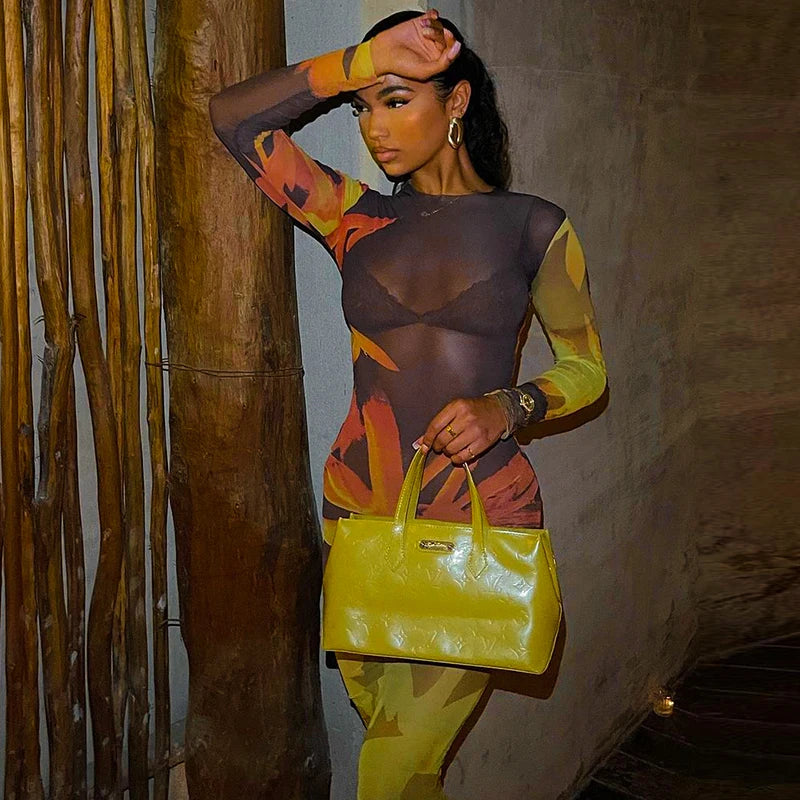 Mesh Maxi Dress - Sheer Long Sleeve Bodycon Dress