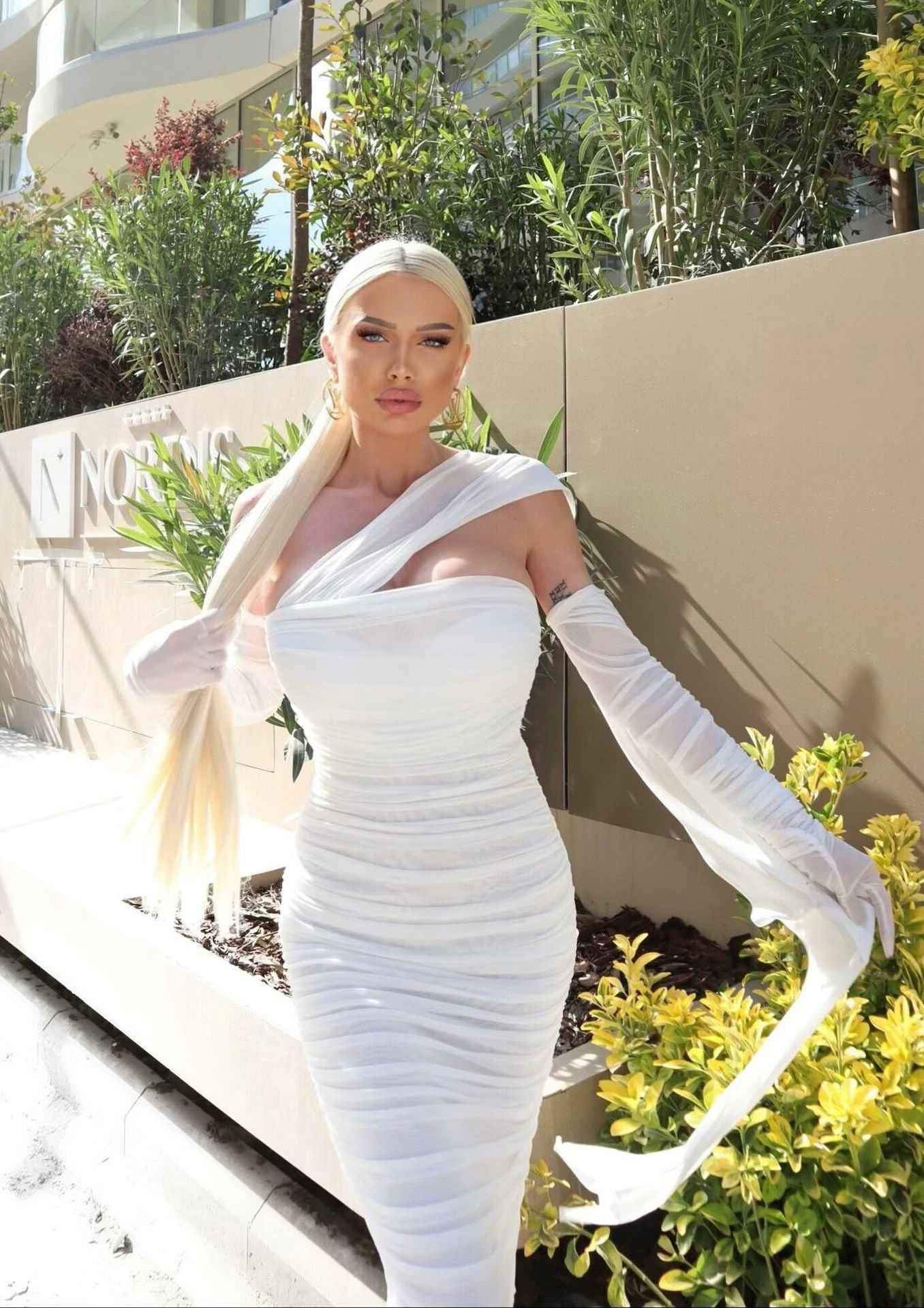 Sheer Mesh Backless Dress - White Halter Long Sleeve