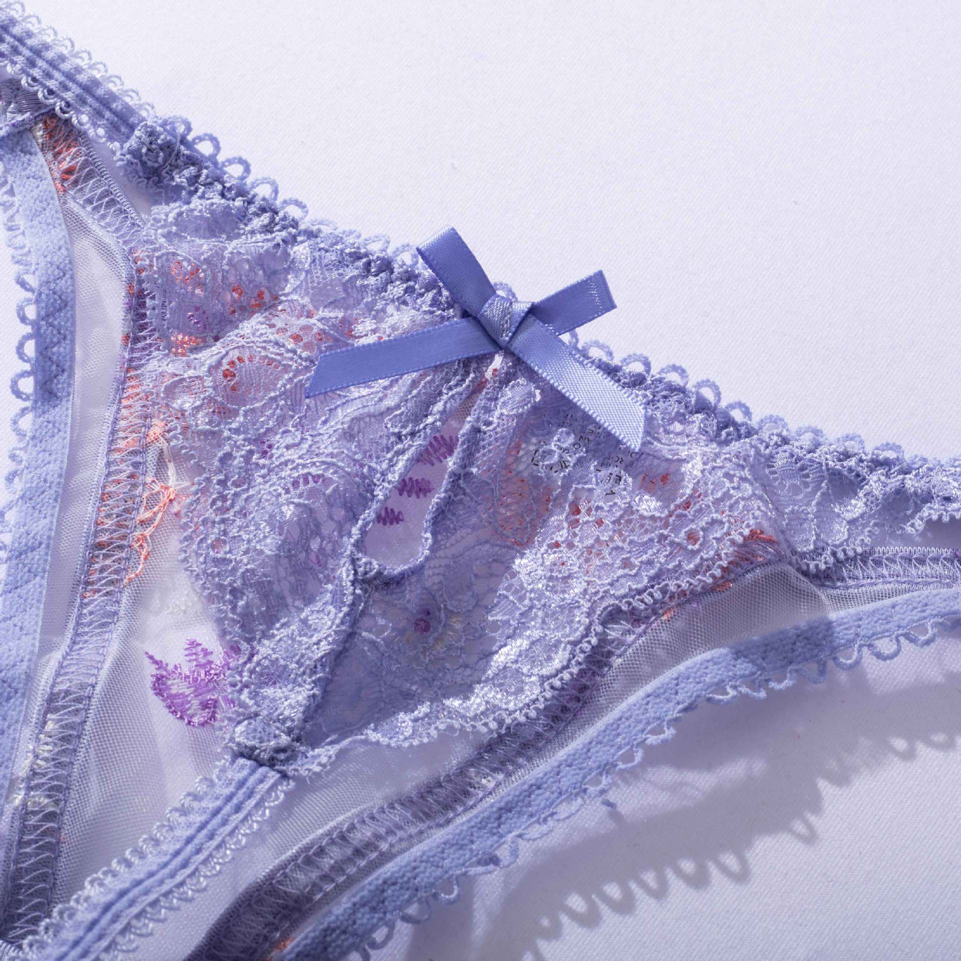 Embroidered Bra Lingerie Set - Elegant Purple