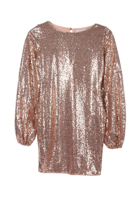 Puff Sleeve Crew Neck Sequin Mini Dress