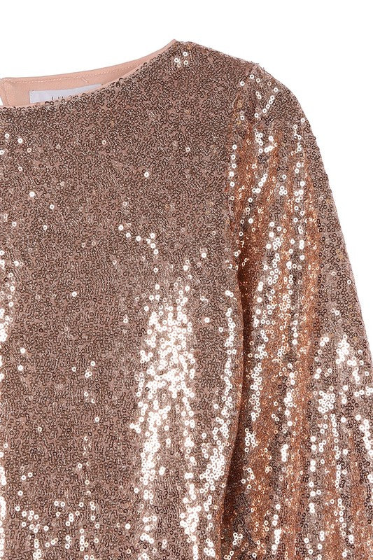 Puff Sleeve Crew Neck Sequin Mini Dress