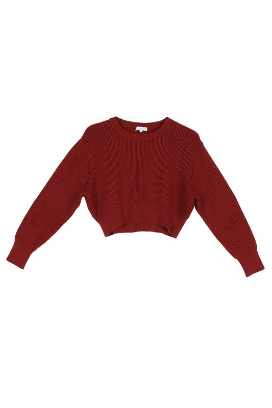 Ribbed Knit Crop Top and Skirt Set