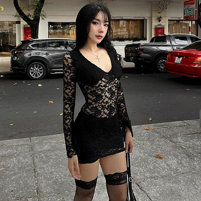 Black Lace Mini Dress - Sexy Sheer Splicing