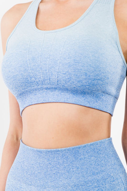 Ombre Seamless Active Crop Top & Biker Short Set