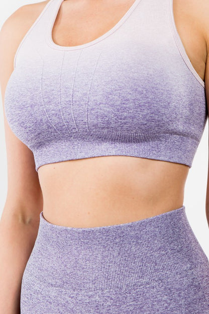 Ombre Seamless Active Crop Top & Biker Short Set