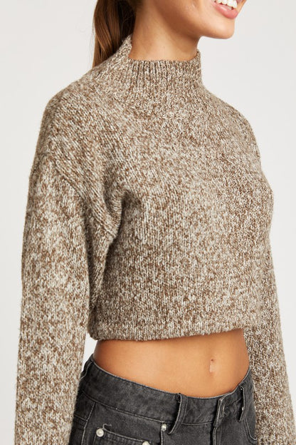 Contrasted Turtle Neck Crop Top