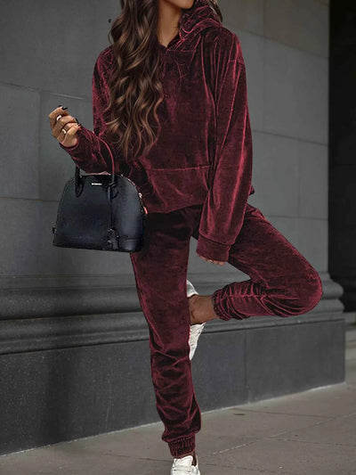 Velvet Long Sleeve Hoodie and Pants Set