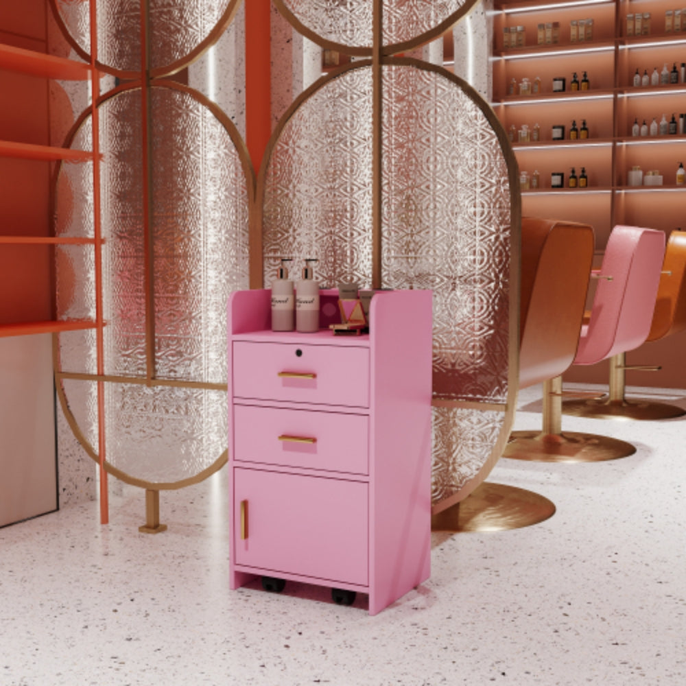 Locking Beauty Salon Storage Cabinet Hair Dryer Holder with Drawer