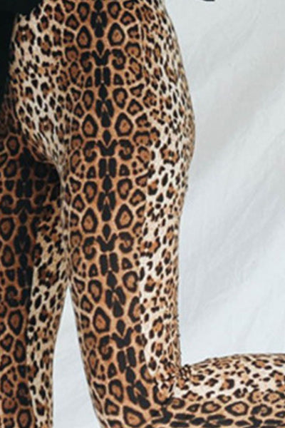 Leopard Print Pants - Long Flare Leg Style