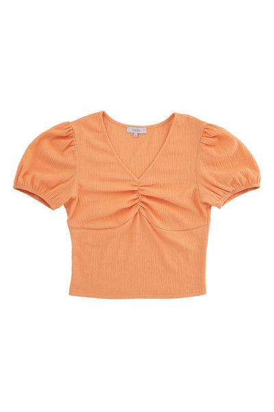 Shirred V-Neck Short Puff Sleeve Top