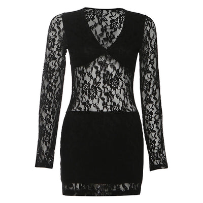 Black Lace Mini Dress - Sexy Sheer Splicing