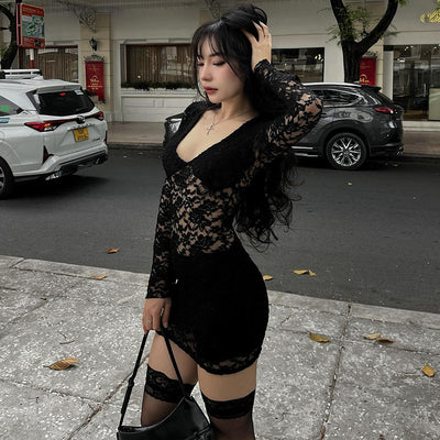 Black Lace Mini Dress - Sexy Sheer Splicing