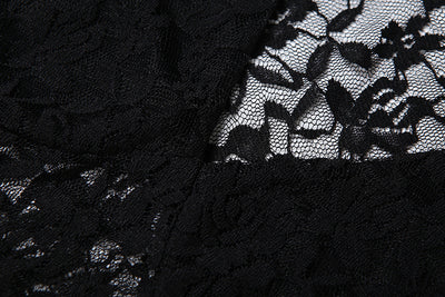 Black Lace Mini Dress - Sexy Sheer Splicing