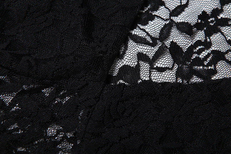 Black Lace Mini Dress - Sexy Sheer Splicing