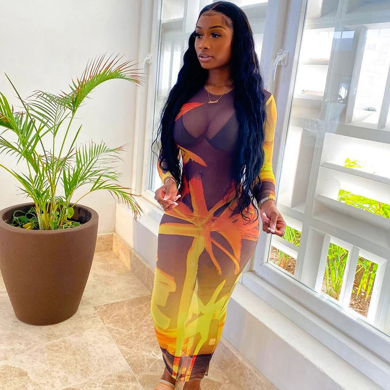 Mesh Maxi Dress - Sheer Long Sleeve Bodycon Dress