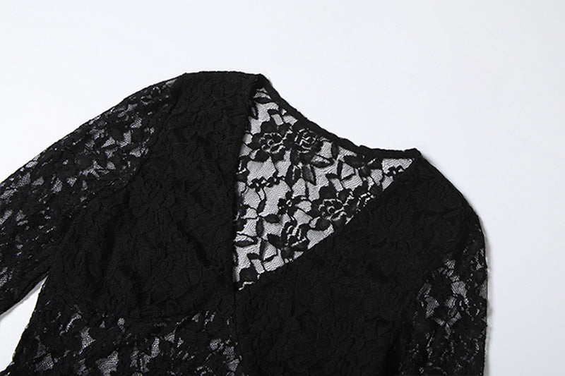 Black Lace Mini Dress - Sexy Sheer Splicing