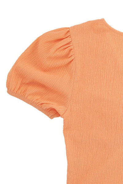 Shirred V-Neck Short Puff Sleeve Top