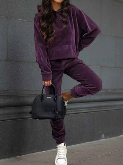 Velvet Long Sleeve Hoodie and Pants Set