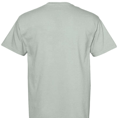 Comfort Colors T-Shirt - We The People 250 Years - Fashions Envy